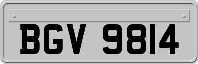 BGV9814