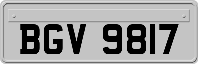 BGV9817