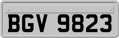 BGV9823