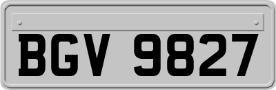 BGV9827