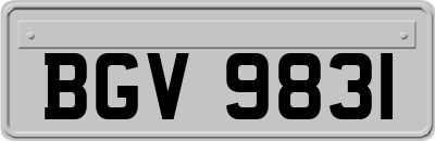 BGV9831