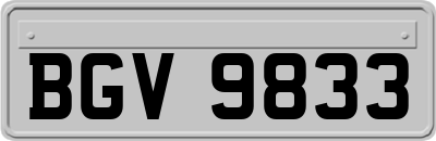 BGV9833