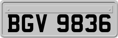 BGV9836