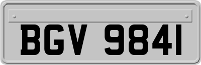 BGV9841
