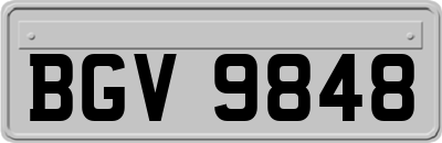 BGV9848