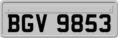 BGV9853