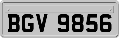 BGV9856