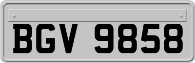 BGV9858