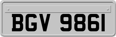 BGV9861
