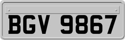 BGV9867