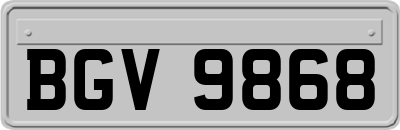 BGV9868