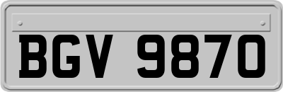 BGV9870