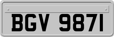 BGV9871