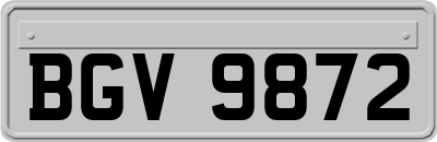 BGV9872