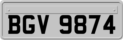 BGV9874
