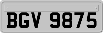 BGV9875