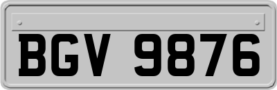 BGV9876