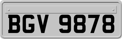 BGV9878