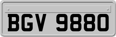 BGV9880