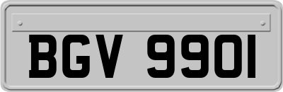 BGV9901