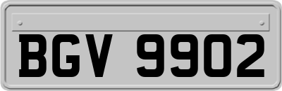 BGV9902