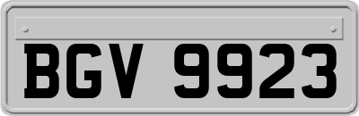 BGV9923