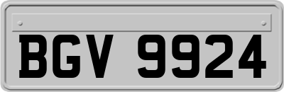 BGV9924