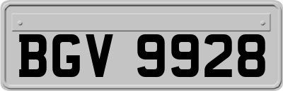 BGV9928