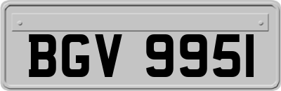 BGV9951
