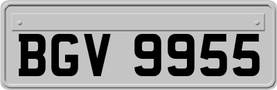 BGV9955