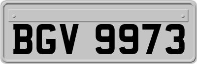 BGV9973