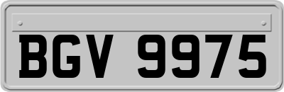 BGV9975