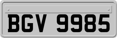 BGV9985