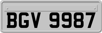 BGV9987