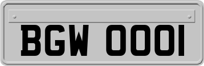 BGW0001