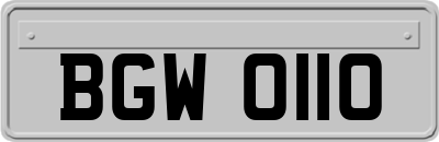 BGW0110
