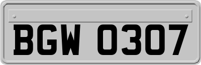 BGW0307