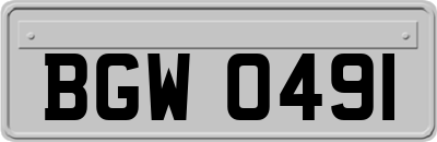 BGW0491