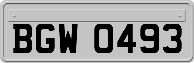 BGW0493