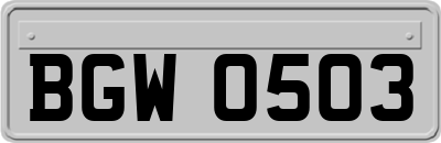BGW0503