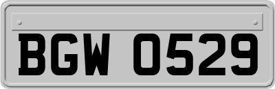 BGW0529