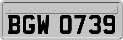 BGW0739