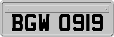 BGW0919