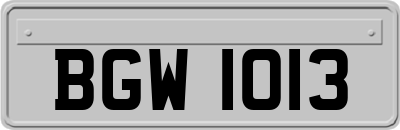 BGW1013
