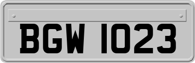 BGW1023