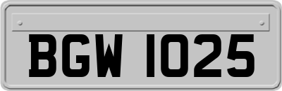 BGW1025