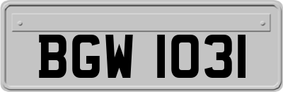 BGW1031