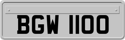 BGW1100
