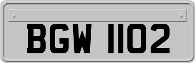 BGW1102