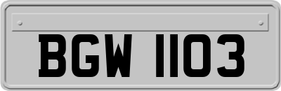 BGW1103